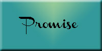 Promise